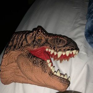 I am selling my son’s Dino puppet. He is ready to bless a new family with it. :)
